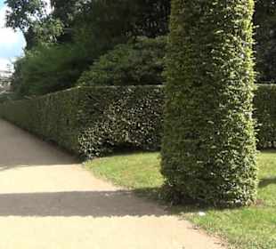 Schlosspark