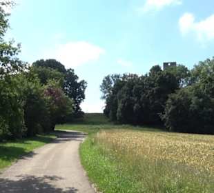 Burgruine Niederhaus