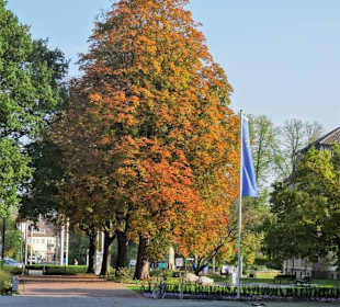 Rundgang durch den Kurpark Bad Rothenfelde