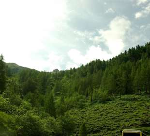 Auffahrt zum GG Gegend