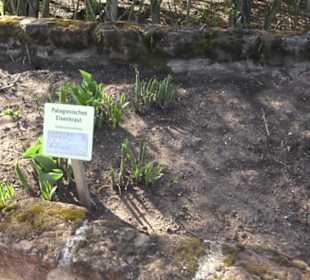 Gartenschau