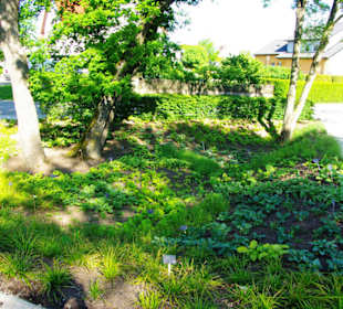 Die Anlage am Ende der Ausstellung