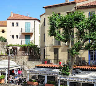 Frühling in der Altstadt von Collioure