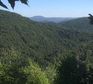 Wandern Hauenstein