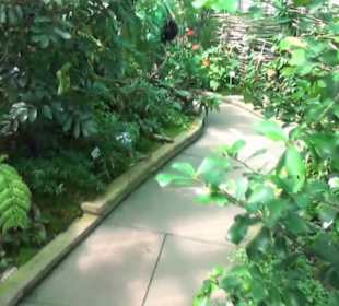 Afrikanische Landschaften