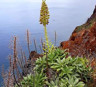 Ausblick vom Denkmalplatz