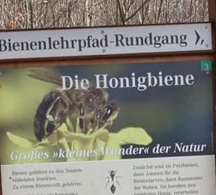 Bienenlehrpfad