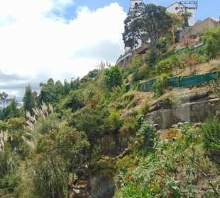 Berg Monserrate/ Bogotá