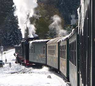 Fahrt mit der Bimmelbahn