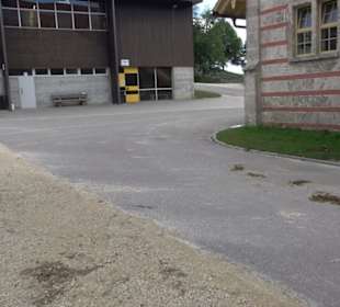 Haupt- und Landgestüt Marbach