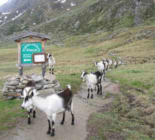 Auf dem Weg zur Franz-Senn-Hütte
