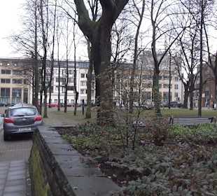 St. Ursula