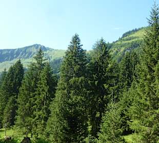 Wandern am Söllereck
