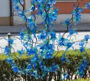 Blüten