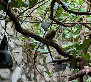 Tiergarten Straubing