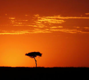 Sonnenaufgang Masei Mara