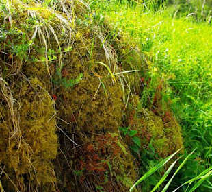 Wanderung zum Bärenfels
