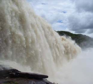 Salto Sapo