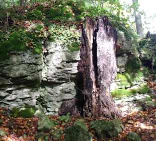 Impressionen Felsengarten