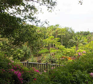 Tolle Floraund Fauna