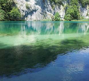 Schönheit in Perfektion