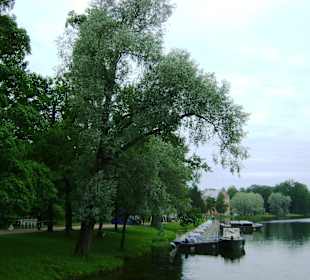 Park Katarzyny