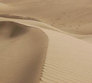 Die  Dünen von Maspalomas