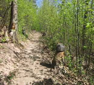 Theresienweg Weyher