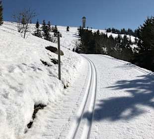 Wandern Todtnauberg