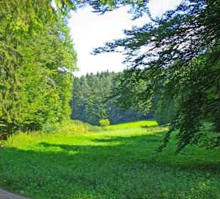 Der Therapeutische Wanderweg