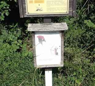 Waldameisen-LehrPfad