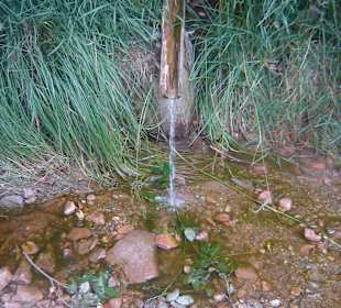 Parcul Natural Apuseni