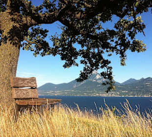 Panoramablick auf den Gardasee