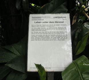 Hinweis auf Epiphyten