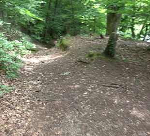 Wanderrunde Emeringen zum Rechtenstein