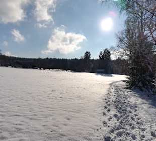 Wandern Drachselsried