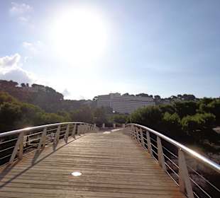Steg zum Strand