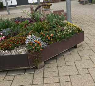 Martinsplatz Nattheim