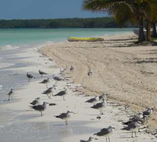 Cayo Blanco