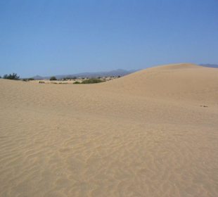 Dünen von Maspalomas
