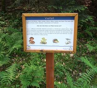 Teufelskanzelsteig Bad Griesbach