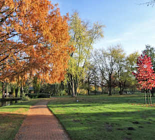 November im Stadtpark Wildeshausen