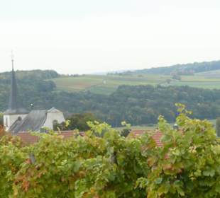 Blick von den Weinbergen zur Kirche von Wipfeld