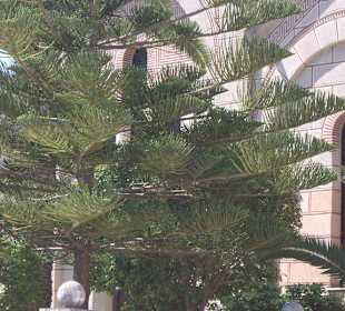 Stare miasto Zakynthos