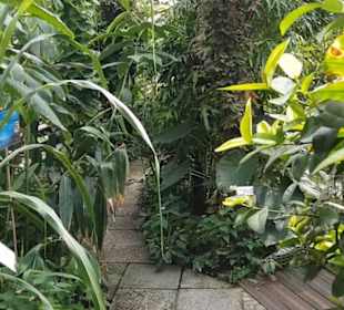 Botanischer Garten