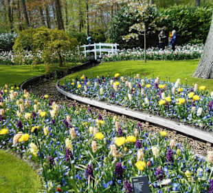 Blumenpracht im Keukenhof