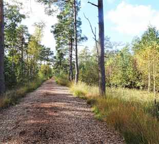 Eindrücke aus dem Großen und Weißen Moor