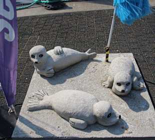 Die Seehundbänke an der Alten Liebe