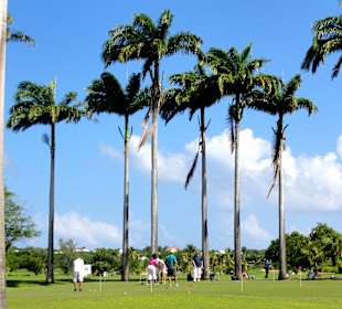 Spaziergang über den Platz