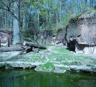 Löwen - Anlage